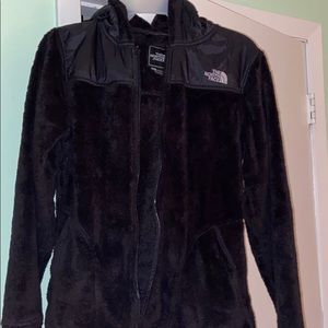 the north face